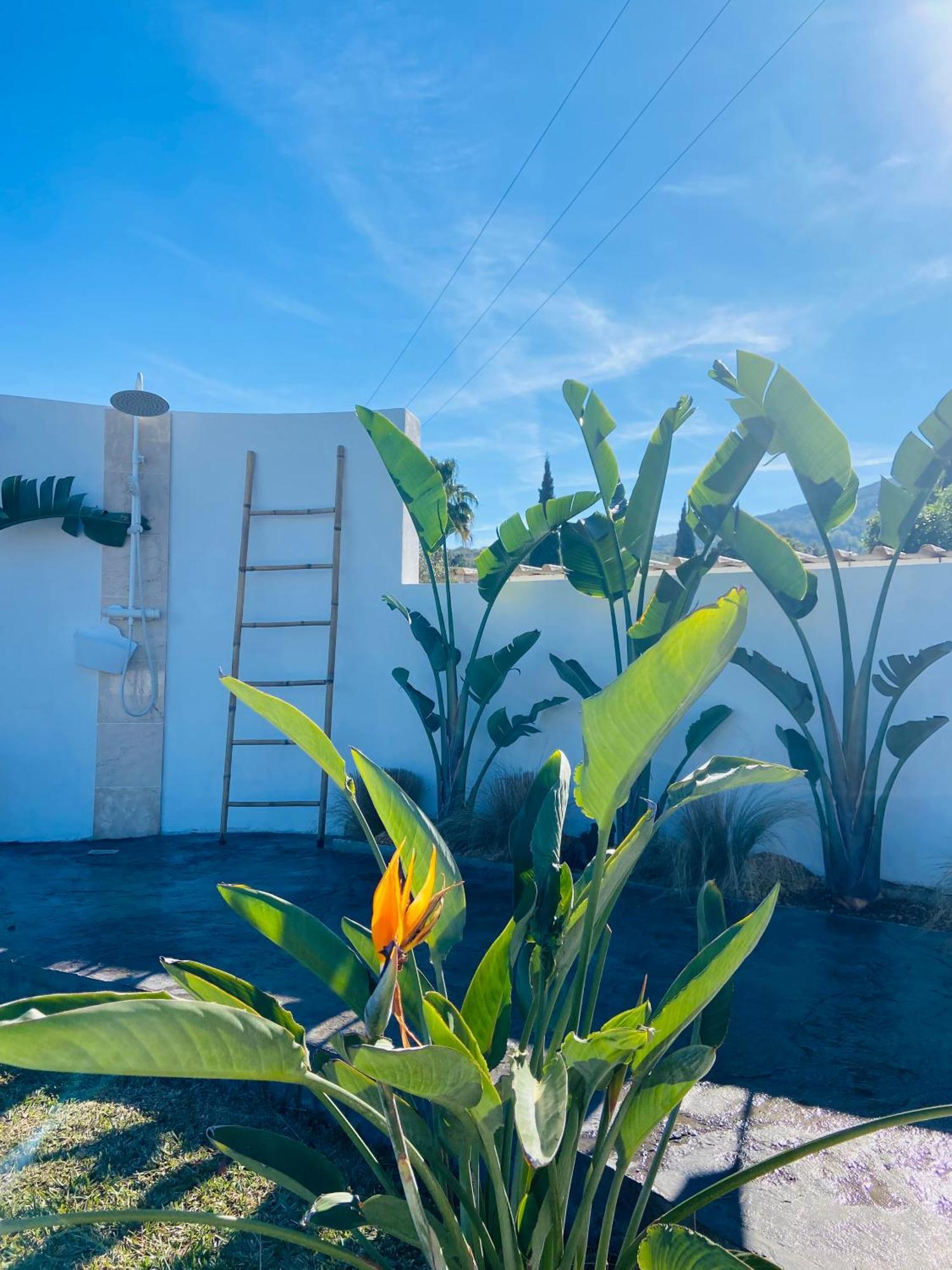 Casa Avellana Villa Denia Eksteriør bilde