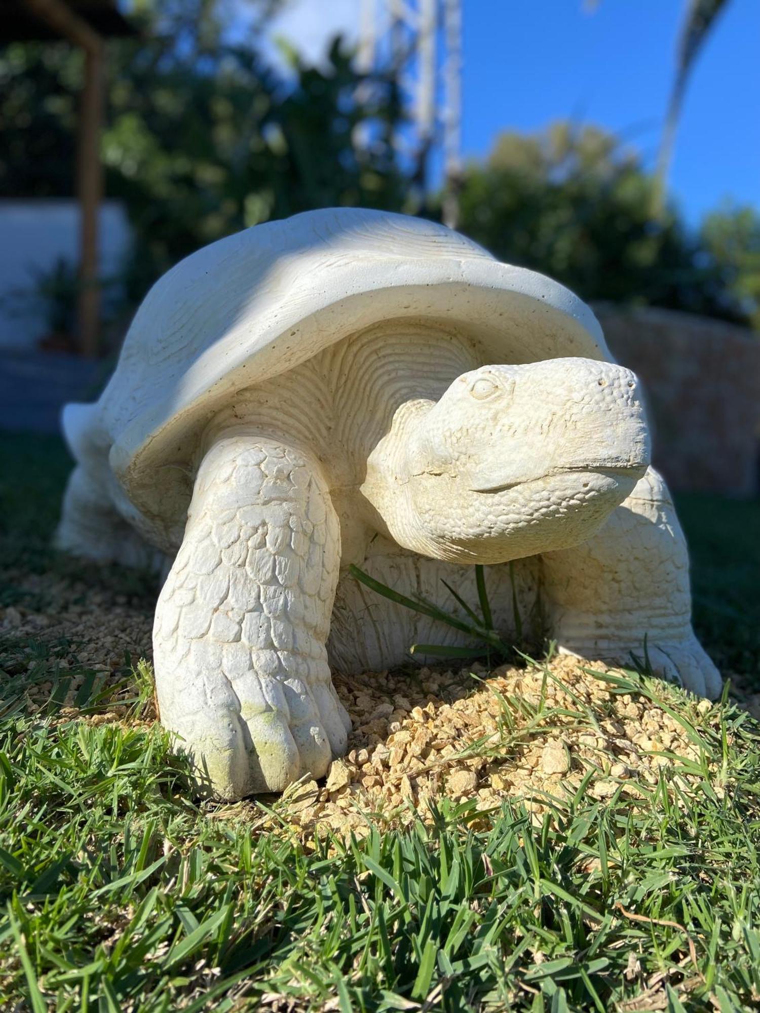 Casa Avellana Villa Denia Eksteriør bilde